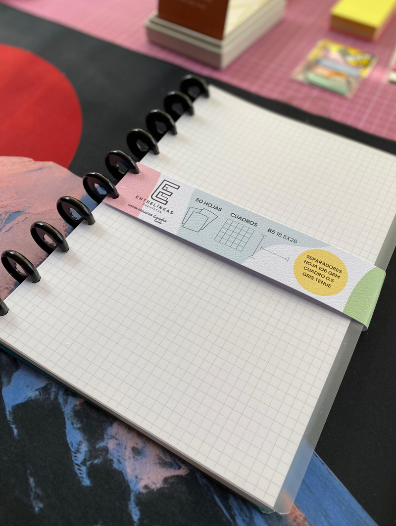 Repuestos/Refill cuadernos de discos (B5)