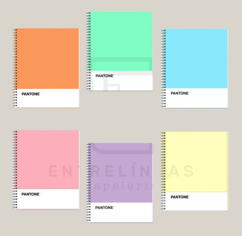 Cuaderno Universitario Colección Pantone