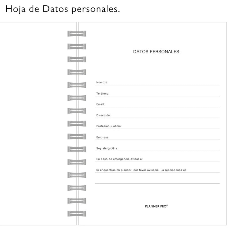 Planner pro 2025