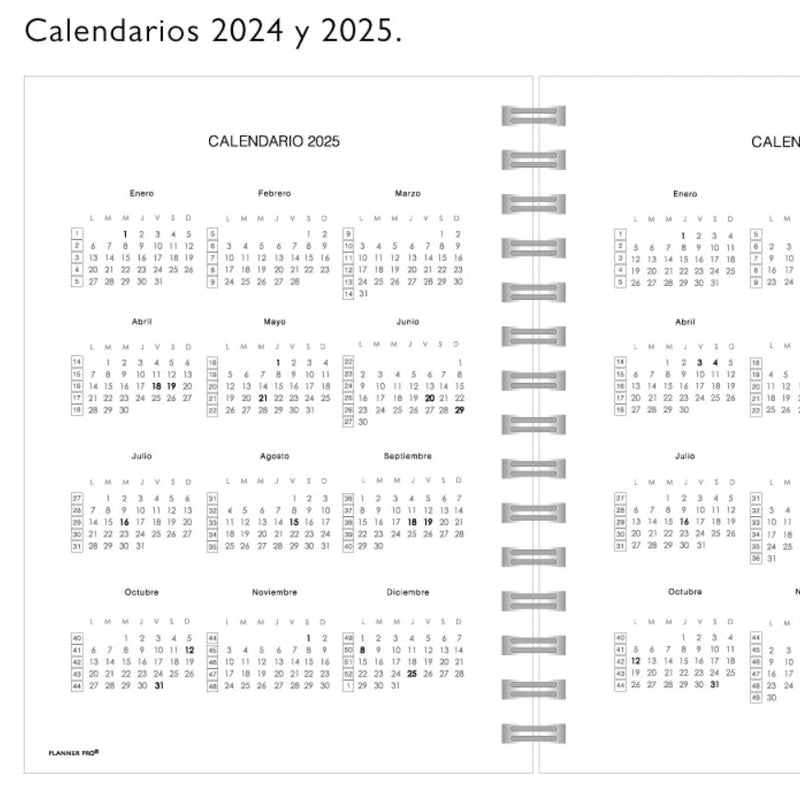 Planner pro 2025